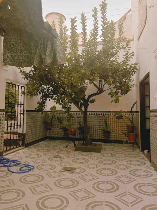 Вілла La Casa De Manolita Баена Екстер'єр фото